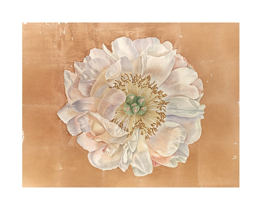 BOTANICAL ART 【import品】 BOTANICAL ART 【import品】 【公式通販】